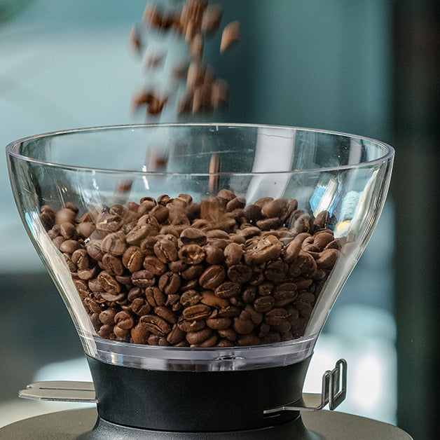 how to choose coffee beans for brewing