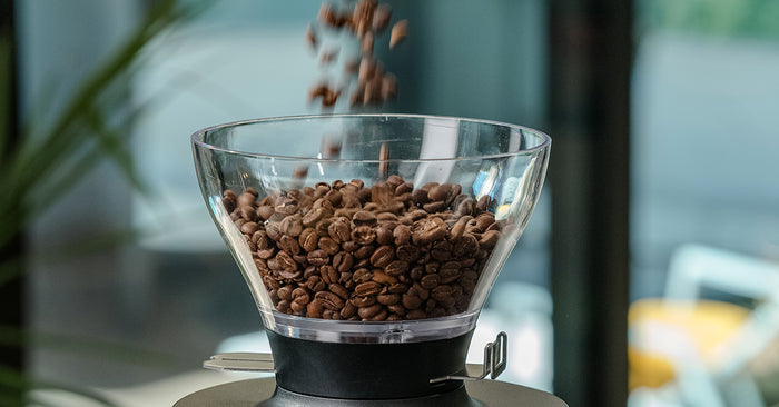 how to choose coffee beans for brewing