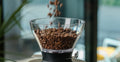 how to choose coffee beans for brewing