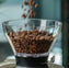 how to choose coffee beans for brewing