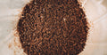 How is Coffee Produced?