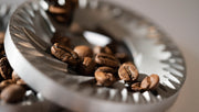 flat burr with coffee beans