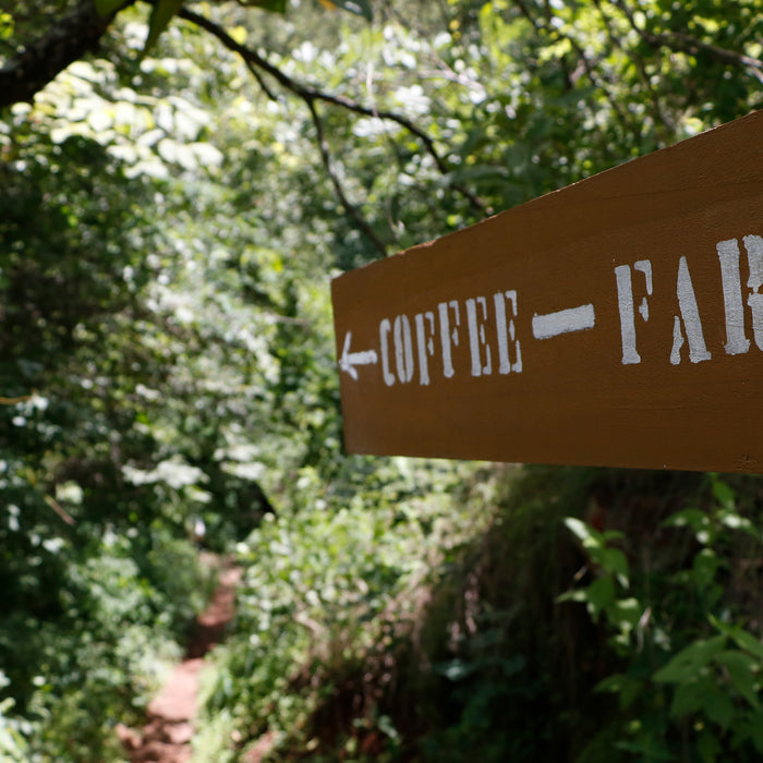 Coffee Farm Signboard at Songwa