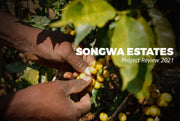 Good News from Tanzania: Songwa Estates Project Review 2021